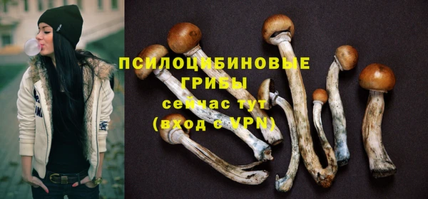 винт Арсеньев