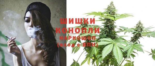 гашик Аркадак